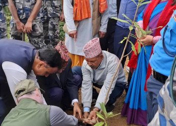 बृक्षारोपण_2.jpg